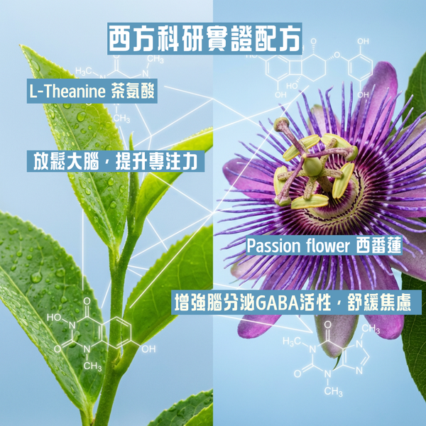 【限時優惠 買1送1】MindRx® 心肝定 - 雙效科研助眠・安睡寧神・疏肝解鬱配方