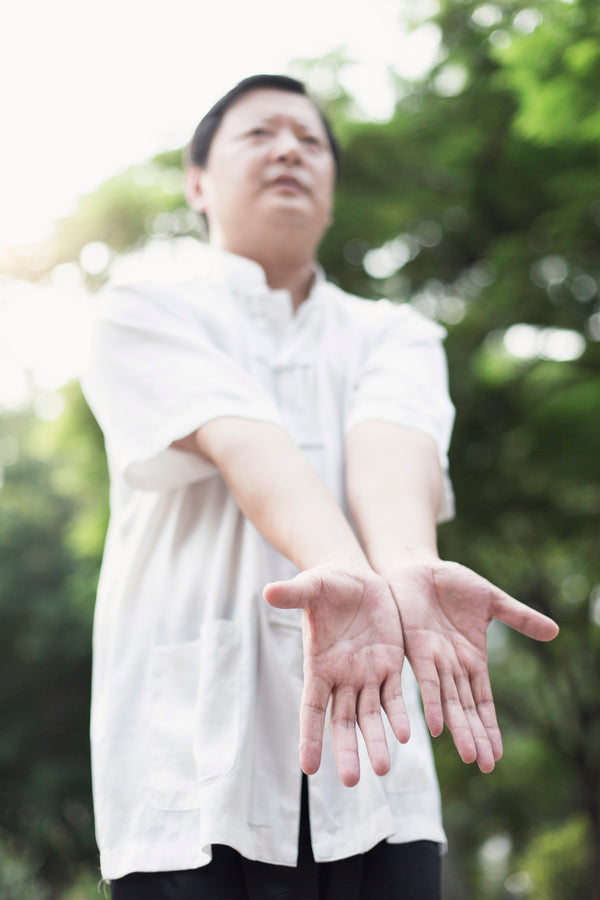 詠春武術課程 Wing Chun Class（2小時)